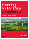 Cover image for Planning for Big Data